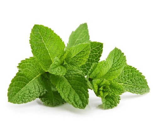 Peppermint